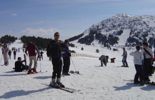 Les FEICHES et MARGUERITES - Foto 18