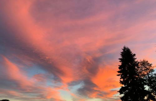 Forest Gallery- Mid-Century Modern With City Views - Photo 44