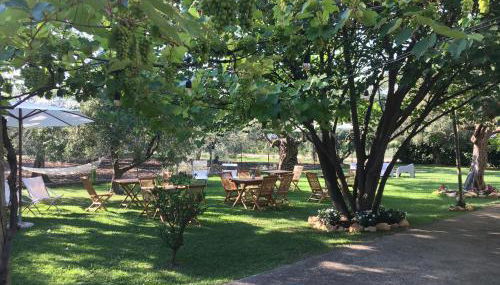 Az. Agr. Parco dei Buoi - Foto 5, Garden