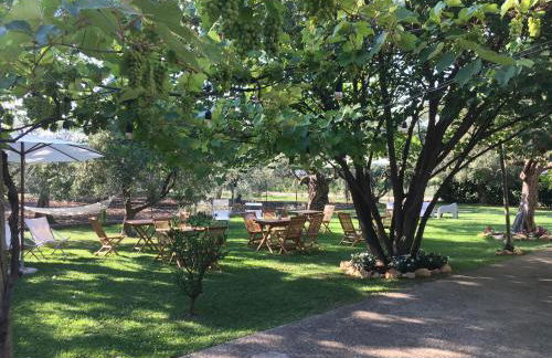 Az. Agr. Parco dei Buoi - Foto 5