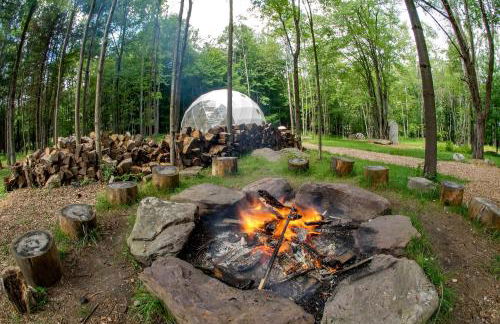 Incredible Spacious Dome for A Group Glamping Experience Surrounded by Nature in Woodridge, New York - Foto 6