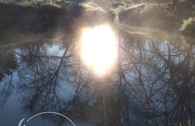 Ninho Bico-de-Lacre ~ o paraíso é a/na Terra - Foto 39