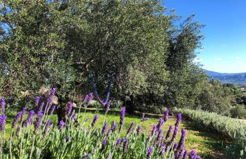 Gaia Home Retreat - Foto 40