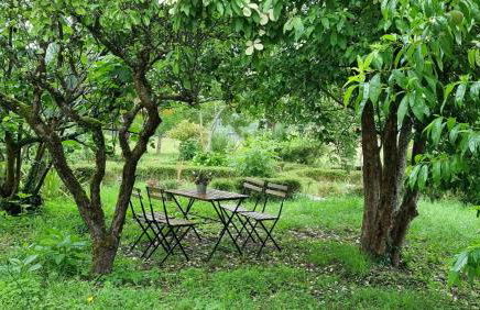 Finca Bouzas - Foto 14