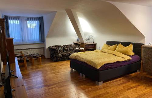 Ferienwohnungen & Apartments Heintz - Ihre Unterkunft am Marktplatz in Bad Königshofen - Foto 20