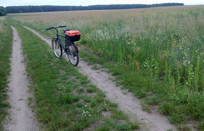 Holzhaus am See - Foto 7