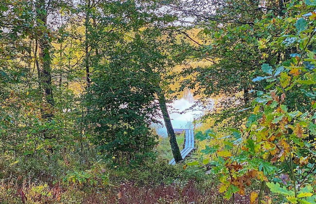 4 Person Holiday Home in Skanes-fagerhult - Foto 8