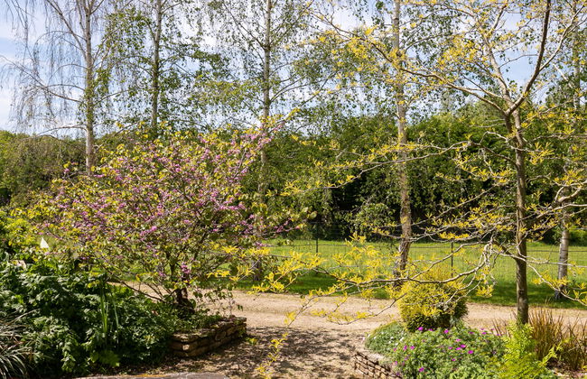 La Lauremma - Foto 28