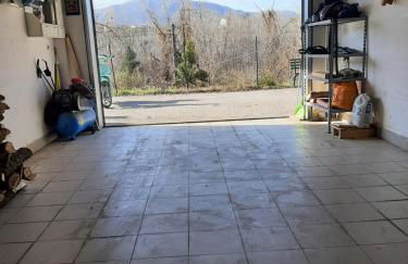 GUFO VERDE - Photo 34