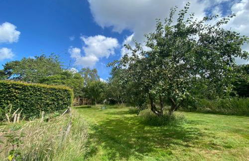 Vane Cottage - Lewes - Photo 21