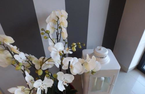 Willa Port - Foto 31