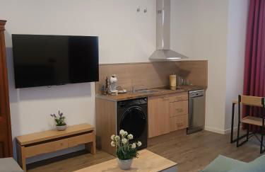 ApartamentosTuristicos Avila Puerta del Alcazar 0-1 - Foto 5