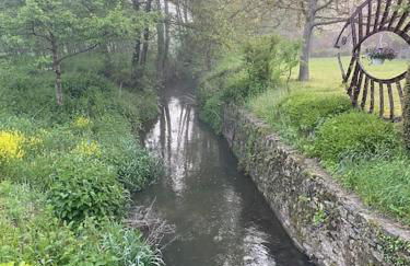 FERIENWOHNUNG ALL YOU NIED mit NIEDBLICK und TERRASSE - Foto 44