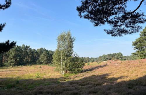 Apartment für zwei - Foto 14