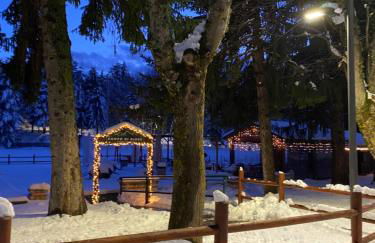 Appartamento immerso nel verde - Foto 22