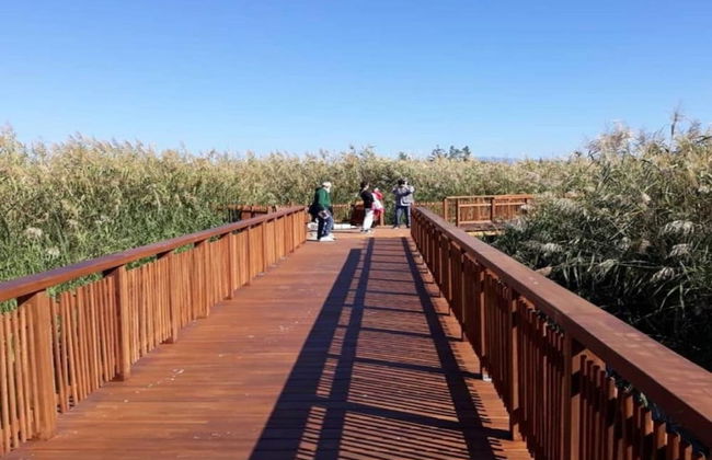 Mare Mare Thalassa A - Foto 24