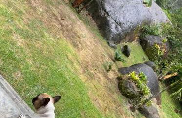 Aconchego da Cachoeira - Foto 44