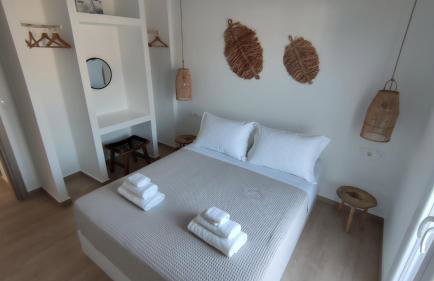 Eolia luxury houses Andros - Foto 6