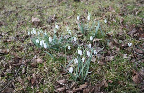 Agroturystyka Sominy - Foto 17