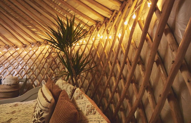 Mushroom Yurt set in 4 Acres of Woodland and Lakes - Foto 15