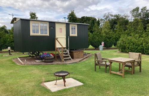 The Rowan Shepherds Hut - Photo 12