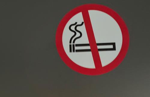 Ferienwohnung am Schloss - Foto 18