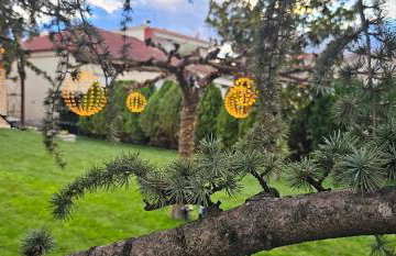 Garden's House Pozar in Aridaia - Photo 41