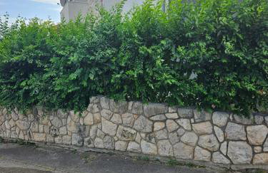 Apartments Aurora - Foto 57