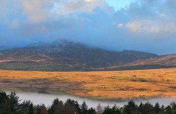 Log Cabin - Free Parking, Garden & pet Friendly - Foto 18