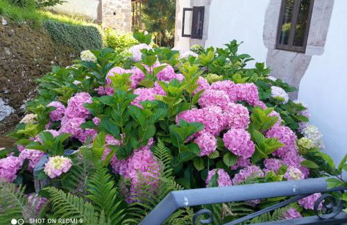 La Casona de Candamín - Foto 12