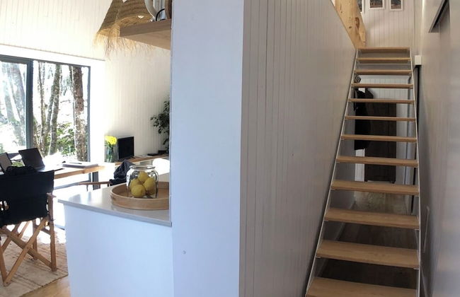 Barn House do Ecotourism Quinta Lamosa - Photo 27