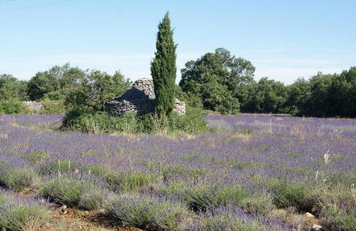 A 5 Minutes des Ocres Gïte La Charite Gordes Roussillon - Foto 34