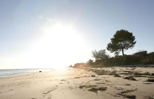 Reetdachkate - Foto 17