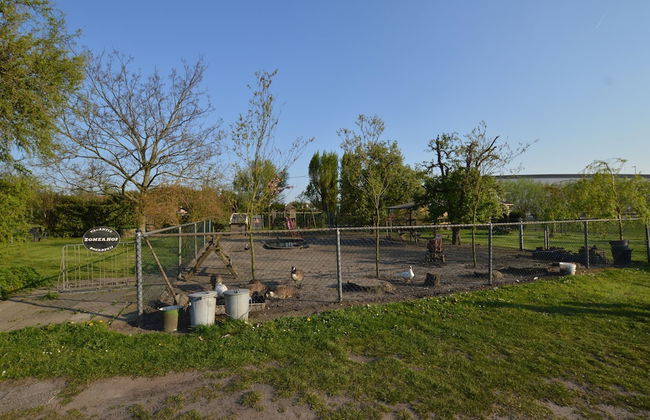 Gypsy Caravan in Weideblick With Farm Animals - Foto 24