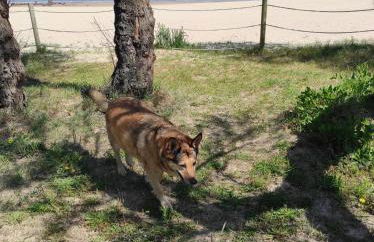 CASA Atzu Loft - Foto 23