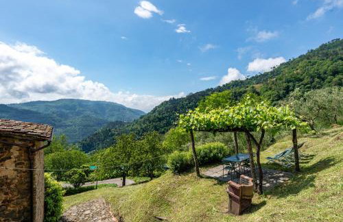 Fattoria di Pietrabuona - Foto 6