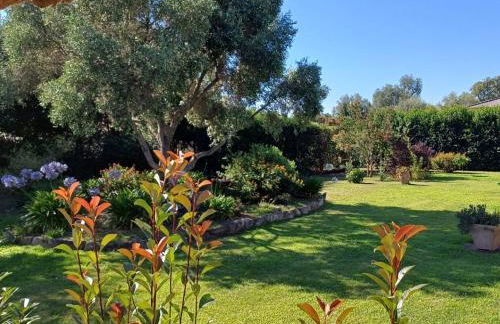 Le jardin de Domi - Foto 3