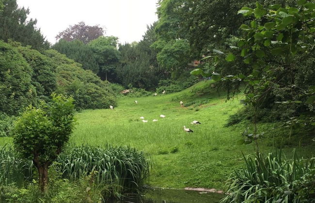 Amazing Apartment in Gorlitz - Foto 10