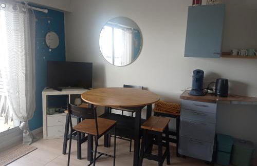 Le Studio Galliéni, face mer, vous accueille en été comme en hiver! - Foto 5