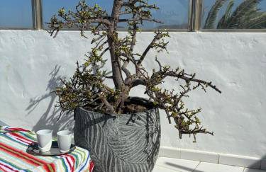 Apartamento La Barca "Rooftop BBQ Chill-out with Top View" - Foto 63