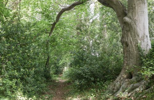 Anvil Cottage - Foto 29