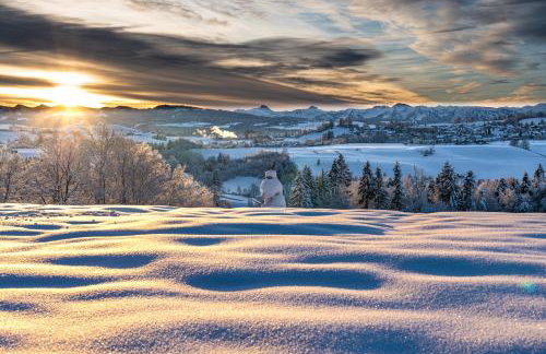 Ferienwohnung BergPfote - Hund herzlich willkommen - Foto 34