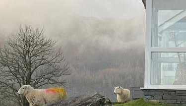 Cosy home in centre of Lake District National Park - Foto 5