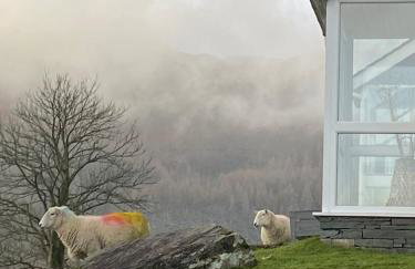 Cosy home in centre of Lake District National Park - Foto 5