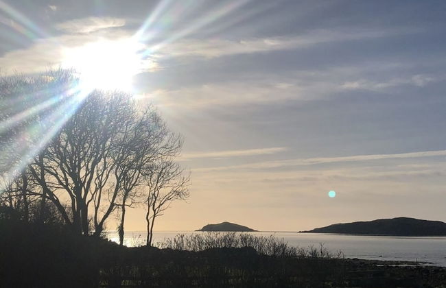 Clouded Yellow - Beautiful Modern Lodge, Kippford - Photo 29