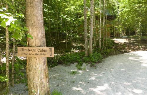 WiFi & Hot Tub Large Family - Climb On in RRG - Foto 26