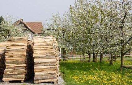 Haus Sonnengruß - Foto 35