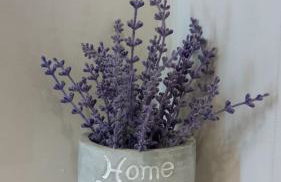 Lux apartman Antonija - Foto 12