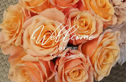 Apartman Kvatric - Photo 20