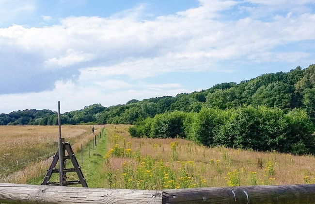 5 Person Holiday Home in Raa/helsingborg-by Traum - Photo 15